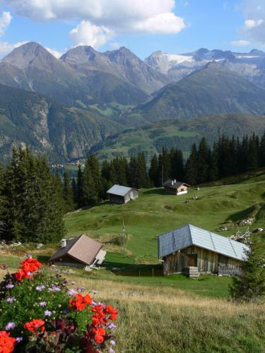 Apartment In Disentis