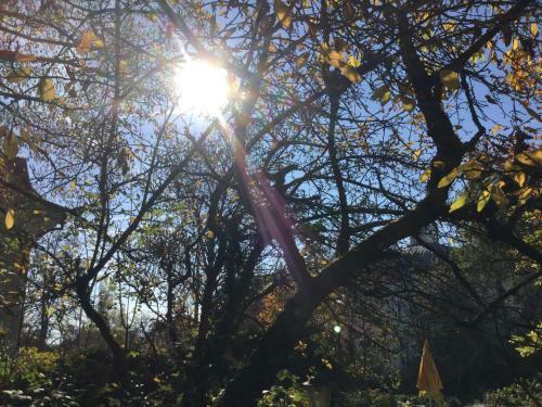 Garden Studio Apartment Z�richberg
