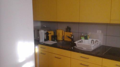 Garden Studio Apartment Z�richberg