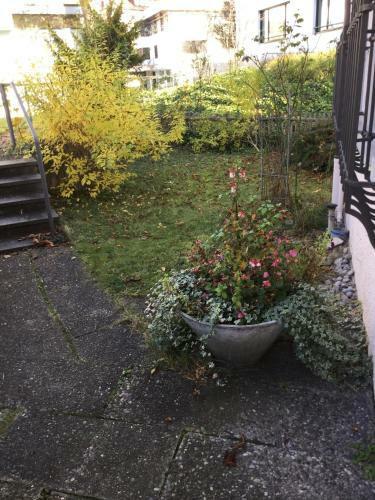 Garden Studio Apartment Z�richberg