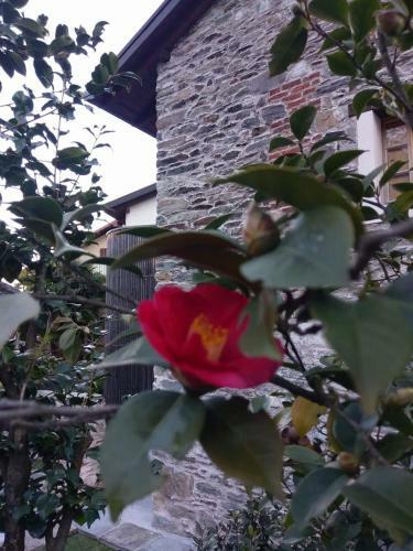 Apartamento Corte Delle Camelie