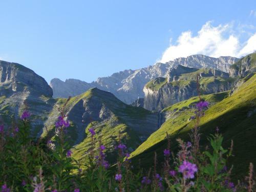Aparthotel H�tel Des Bains D'ovronnaz