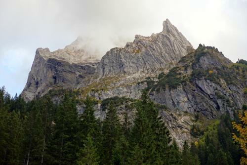 Hotel Alpenrose