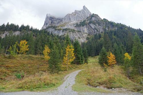 Hotel Alpenrose