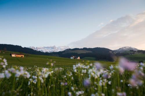 Posada Hotel Landgasthof Eischen
