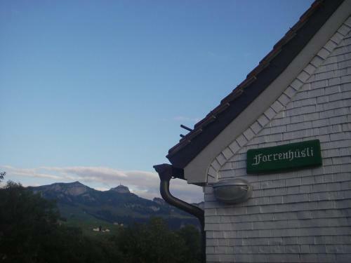 Hostal Guesthouse Forrenh�sli