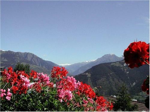 Bed & Breakfast Pension Kastel