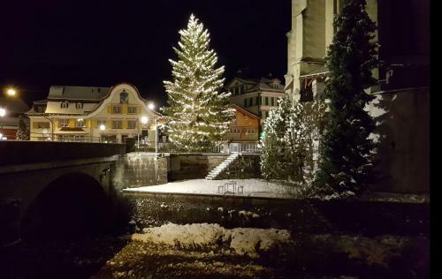 Posada Hotel Adler