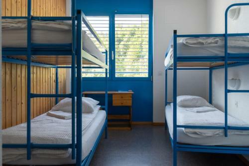 Hostal Camp De Base