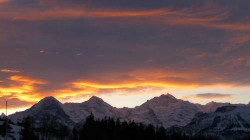 Alphotel Eiger B&B