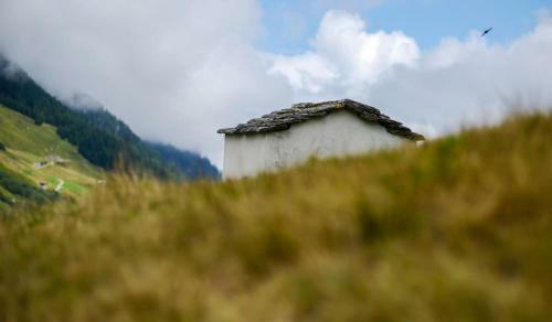 Apartamentos Grosshus Vals