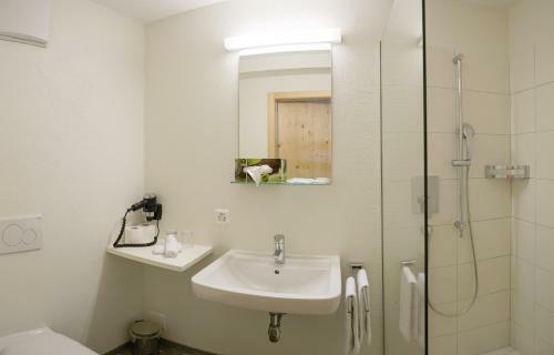 Hotel Steinbock
