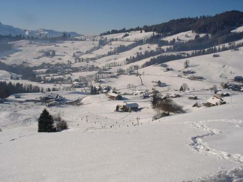 Apartamentos Chalet Sunneschyn
