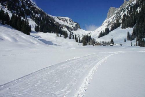 Hotel Rothorn