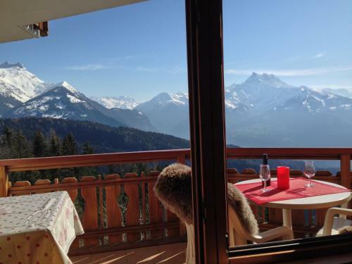 Apartamento Studio Bristol Villars