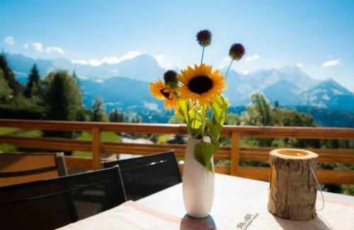 Apartamento Studio Bristol Villars