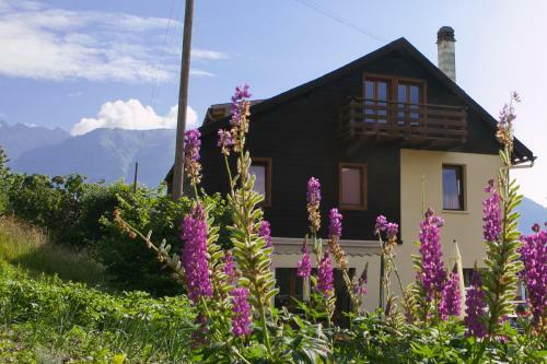 Apartamento Les Soldanelles