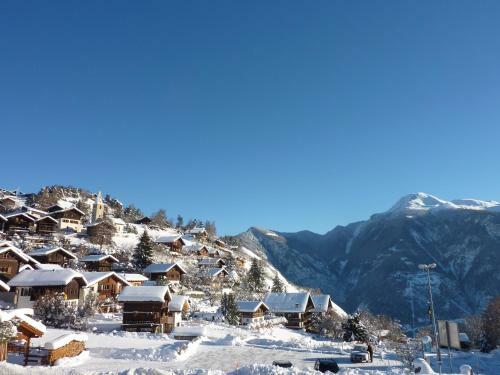 Chalet Vercoquin