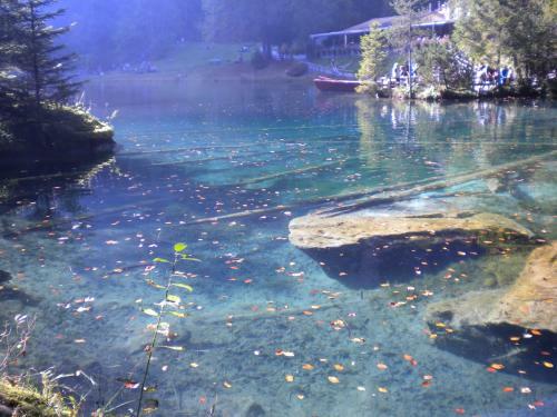 Chalet Tannegg