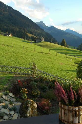 Chalet Tannegg