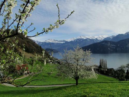 Seehotel Gotthard