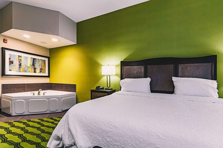 Hotel Hampton Inn Niagara Falls/airport