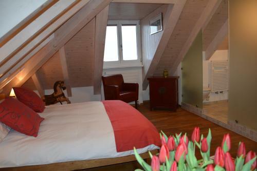 Hotel Casa Ambica