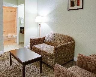 Hotel Comfort Suites Texas Ave.