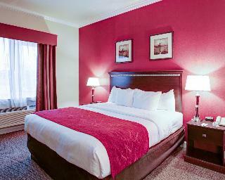 Hotel Comfort Suites Texas Ave.