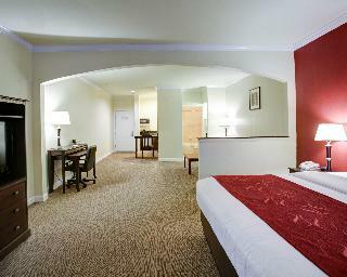 Hotel Comfort Suites Texas Ave.