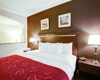 Hotel Comfort Suites Texas Ave.