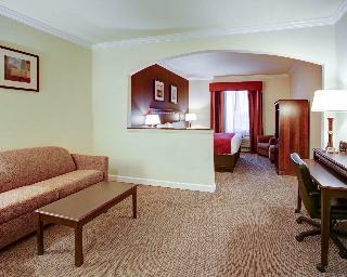 Hotel Comfort Suites Texas Ave.