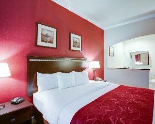 Hotel Comfort Suites Texas Ave.