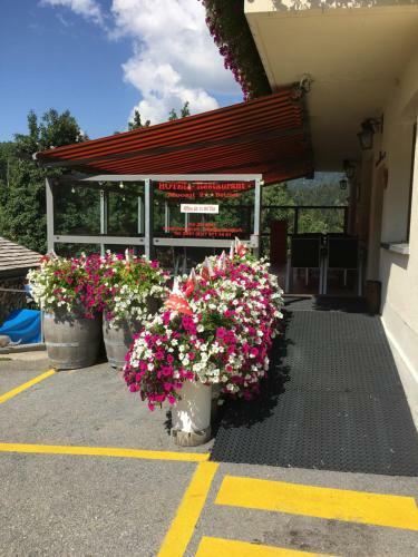 Hotel M�hlebach - Restaurant Moosji