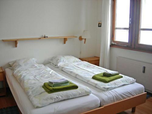 Apartment Aragon X Ernen