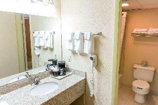 Hotel Quality Inn & Suites Big Rapids