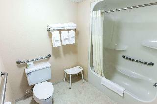 Hotel Quality Inn & Suites Big Rapids
