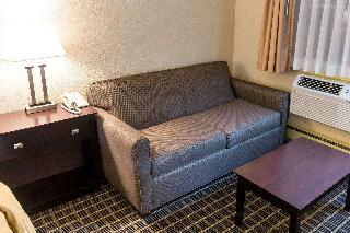 Hotel Quality Inn & Suites Big Rapids