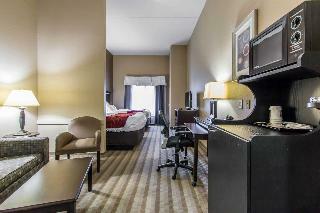Hotel Comfort Suites Smyrna