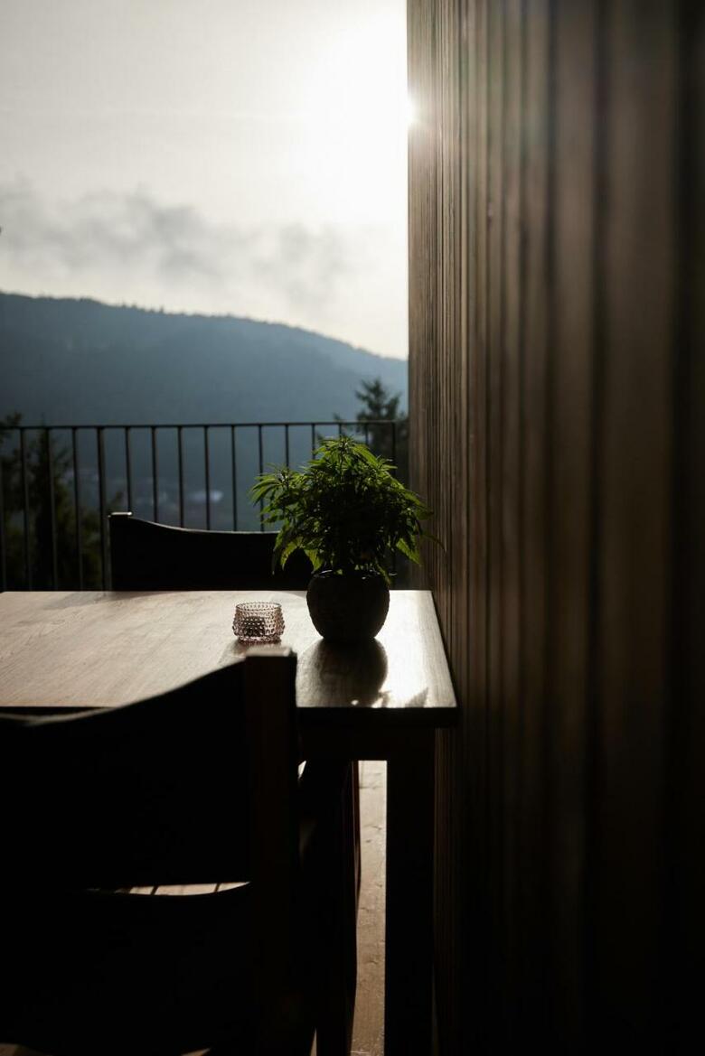 Hotel Saltus
