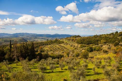 Agroturismo Podere Castellare