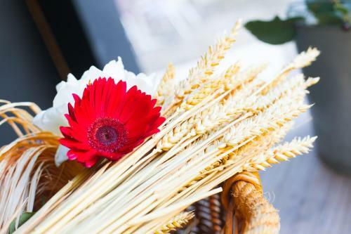 Agroturismo Podere Castellare