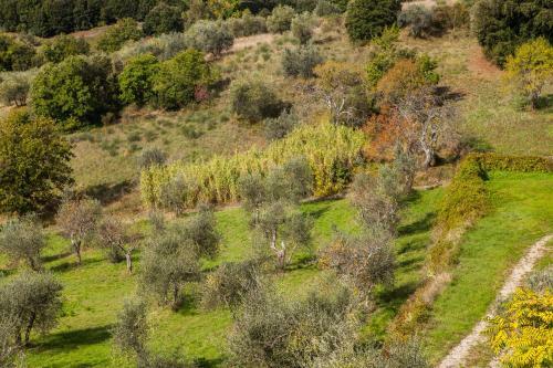 Agroturismo Podere Castellare