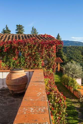 Agroturismo Podere Castellare