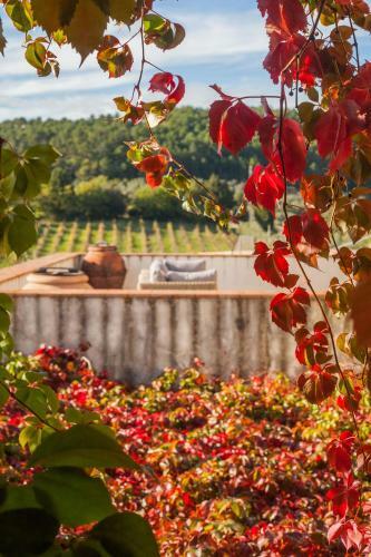 Agroturismo Podere Castellare