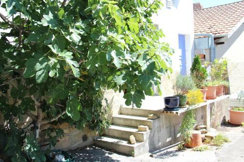 Apartamento Appartement Les Iris