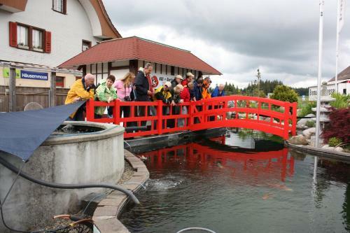 Hotel Restaurant Koi-gartenteich