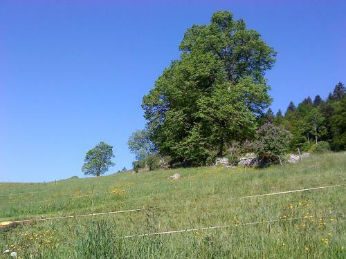 Agroturismo Chambre D'h�tes Petit Martel