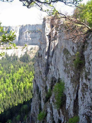 Agroturismo Chambre D'h�tes Petit Martel