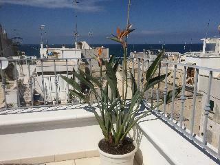 Bed & Breakfast Respiro Del Mare Polignano